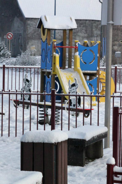 2010-11-28 (17)