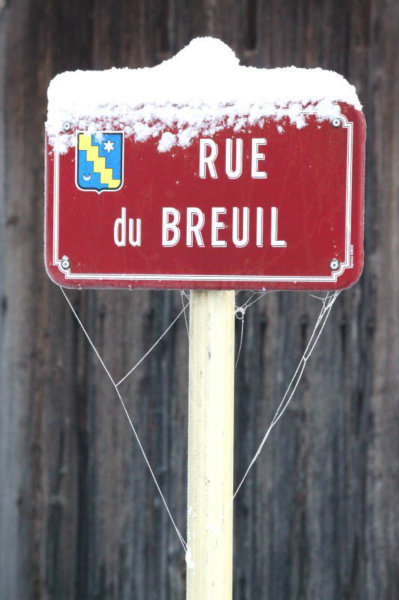 2010-11-28 (27)
