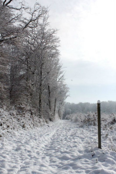 2010-11-28 (144)