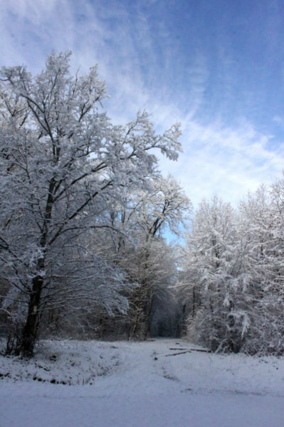 2010-11-28 (107)