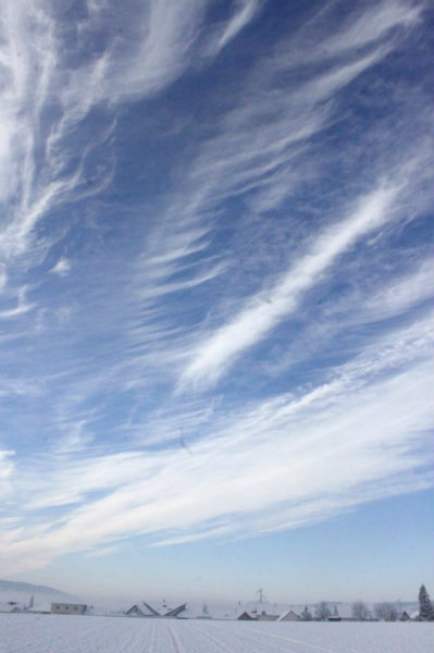2010-11-28 (98)