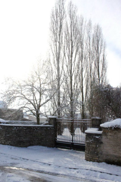 2010-11-28 (46)