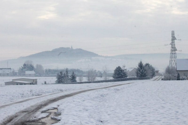 2010-11-28 (96)