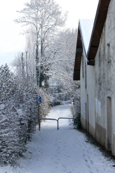 2010-11-28 (13)