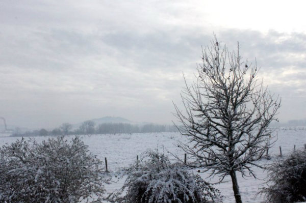 2010-11-28 (91)