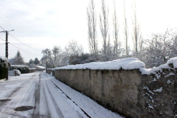 2010-11-28 (48)