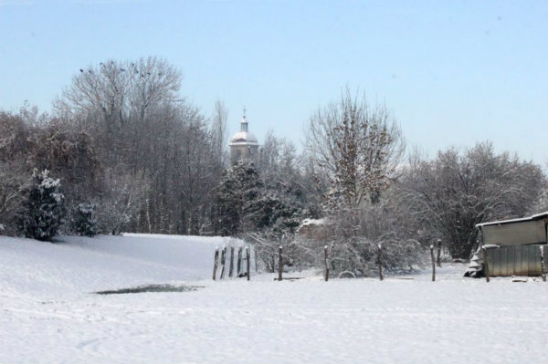 2010-11-28 (24)
