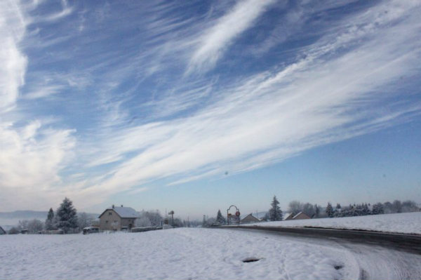 2010-11-28 (99)