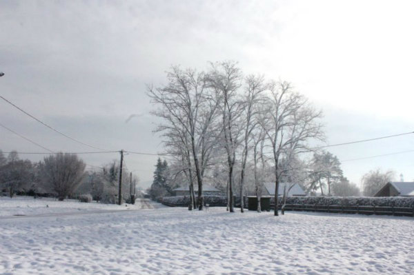 2010-11-28 (147)