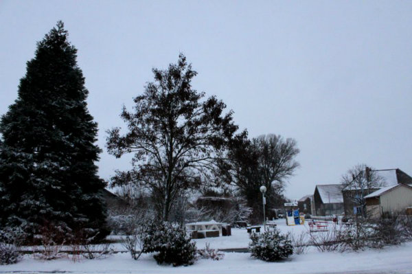 2010-02-01 (3)