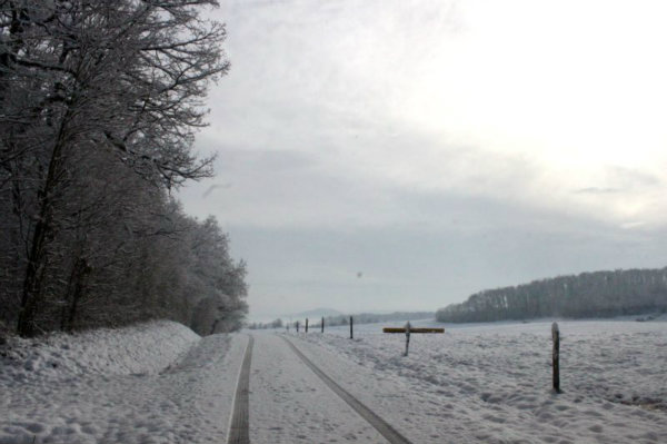 2010-11-28 (145)