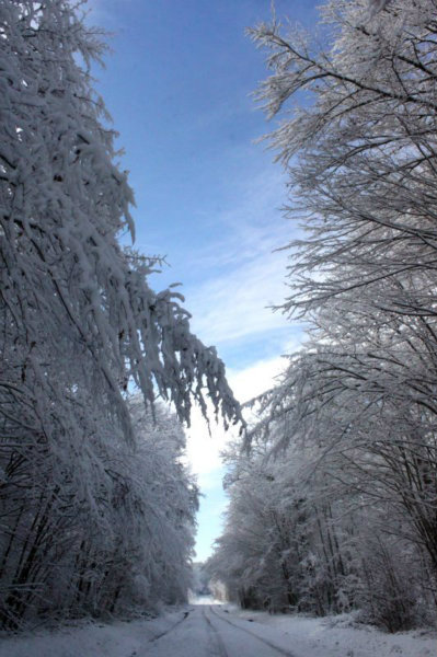 2010-11-28 (131)